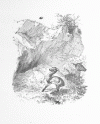 S. uc_p25, Abb. 1