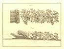 S. uc_Plan10, Abb. 1