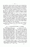 S. 275, Obj. 2