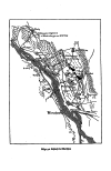S. 61