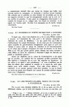 S. 216, Obj. 3