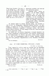 S. 381, Obj. 2